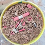 15544f4df27ed513a31de5fb9d0e04e7