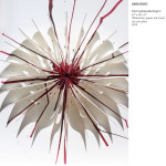 3. Sara Rayo - Flor Vulnerada Roja V - 22_ x 30_ x 4_ - 2014