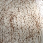 58_webpagepequenosmovimientos4