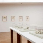 980_olanocardenas_4_450x300_crop_q85