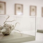 980_olanocardenas_6_450x300_crop_q85