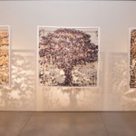 EXPOSICION SUSPENDIDO 3