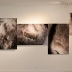 Exposicion Johanna Arenas-1