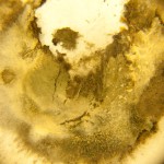 Exposicion Johanna Arenas-10