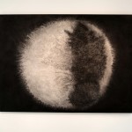 Exposicion Johanna Arenas-5