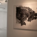 Exposicion Johanna Arenas-6