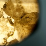 Exposicion Johanna Arenas-8