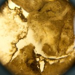 Exposicion Johanna Arenas-9