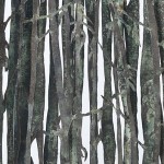 Jardin Fragil - 40 x 25 x 4 cm - Lamina de cobre y madera,  Papel y madera , Fotografia, vidrio y madera -2010