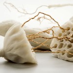 Marcela Cardenas (3)