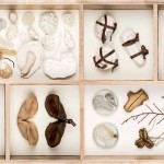 Marcela Crdenas (10)