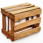 _No es lo que estas pensando!. Guacal 1