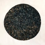 Veronica-Gonzalez-Naturaleza-y-memoria-obras06