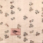 Veronica-Gonzalez-Naturaleza-y-memoria-obras15