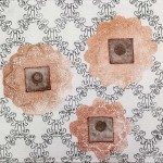 Veronica-Gonzalez-Naturaleza-y-memoria-obras16