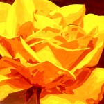 nei_nei o_leo sobre lienzo 80 x 80 cm