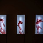 11145892_893214870715378_1970694946609293609_n