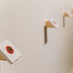 11954762_889930481043817_6940589159185912473_n