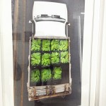 Alejandro Cartagena 2