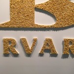 Galería Valenzuela Klenner - Colombia 2