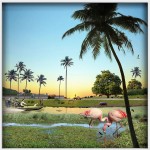 Pablo y los Stones 2